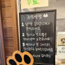 냥이시대