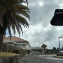 야자클럽 | [가고시마골프]🌴 야자수와 서쪽 바다 뷰 — 유노우라 컨트리 클럽 (湯の浦カントリー倶楽部)