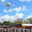 화성자동차랜드 | [육아일상]19개월아기랑 서울근교 갈만한곳 화성행궁 화성어차 탑승후기, 명당, 수원근교 갈만한곳