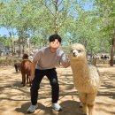 인생 자이언트치킨 | 다롄 가볼만한곳, 대련 삼림동물원 반나절 후기 (입장료·가는법·꿀팁)