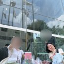 미르캣 | 궁디팡팡 캣페스타 38th 고양이 전문 박람회 후기
