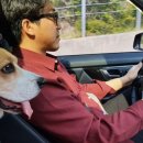 엘리스산장 이미지