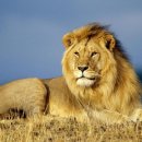 집사자공인중개사사무소 이미지