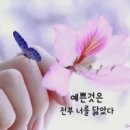 당신의 인생사진 이미지