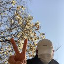 낙성대공원 이미지