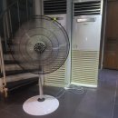 물과물고기 이미지