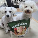 트러스티 오일 | 트러스티푸드 동결건조사료 치킨패티 퍼피 급여 후기