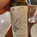 파토리아 이미지