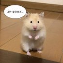 주아니네