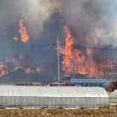 함평축구장 이미지