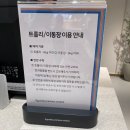 [대전 관평동 현대프리미엄아울렛] 펫테라스 &amp; 트롤리 이용 후기