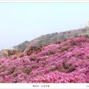 고려산 이미지