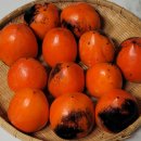 윤민농장 이미지