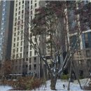 산책공인중개사사무소 이미지