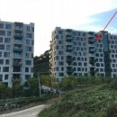 세븐일레븐 신현점 이미지