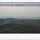 배곧로자벨프라자 네이버블로그