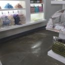 해피애견 미용실 이미지