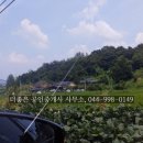 다정동 BRT 정거장 이미지