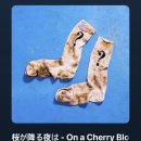 케이그랜드호스텔 | 4/5-4/6: Köln&amp;Bonn🇩🇪🌸