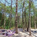 햇빛가득약국 이미지