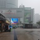 여행, 미룰 수 없는 자유 이미지