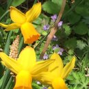 배미농장 이미지