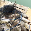 어의곡낚시터 이미지