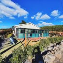 제주키즈풀빌라 나무와 아이 이미지