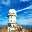 제788차(년40차)정기산행:금산 서대산(904m),일시:2024년11월24일06시30분 이미지