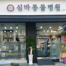 심바동물병원 이미지