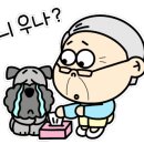 오션동물메디컬센터 네이버블로그