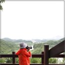 한반도면-8 이미지