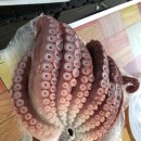 비슬산 숲속 오토캠핑장 이미지