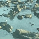 수원-0465 이미지