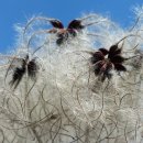 방배로35길 6 이미지