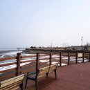 삽교호 해안탐방로 이미지