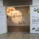 고흥이야기 이미지