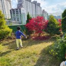 새보람유치원 이미지