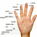 수지침 이미지
