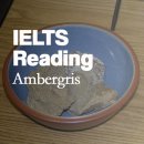 IELTS Reading (아이엘츠 리딩) Passage - 용연향 이미지