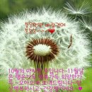 문목사 이미지