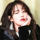 홍구2 인사이트