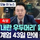 우두머리 이미지