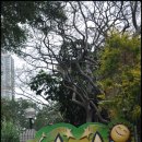 구룡공원입구 이미지