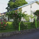 송산4리 이미지