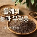 들깨 효능 안좋은점 들깨가루 보관법 이미지