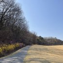 동원홈푸드화성상록골프장(클럽하우스)주 | [후기/라운딩] 화성상록 GC 골프장