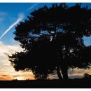 스마일토이 이미지