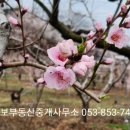 경보부동산중개사무소 이미지