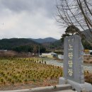 노란담장 이미지